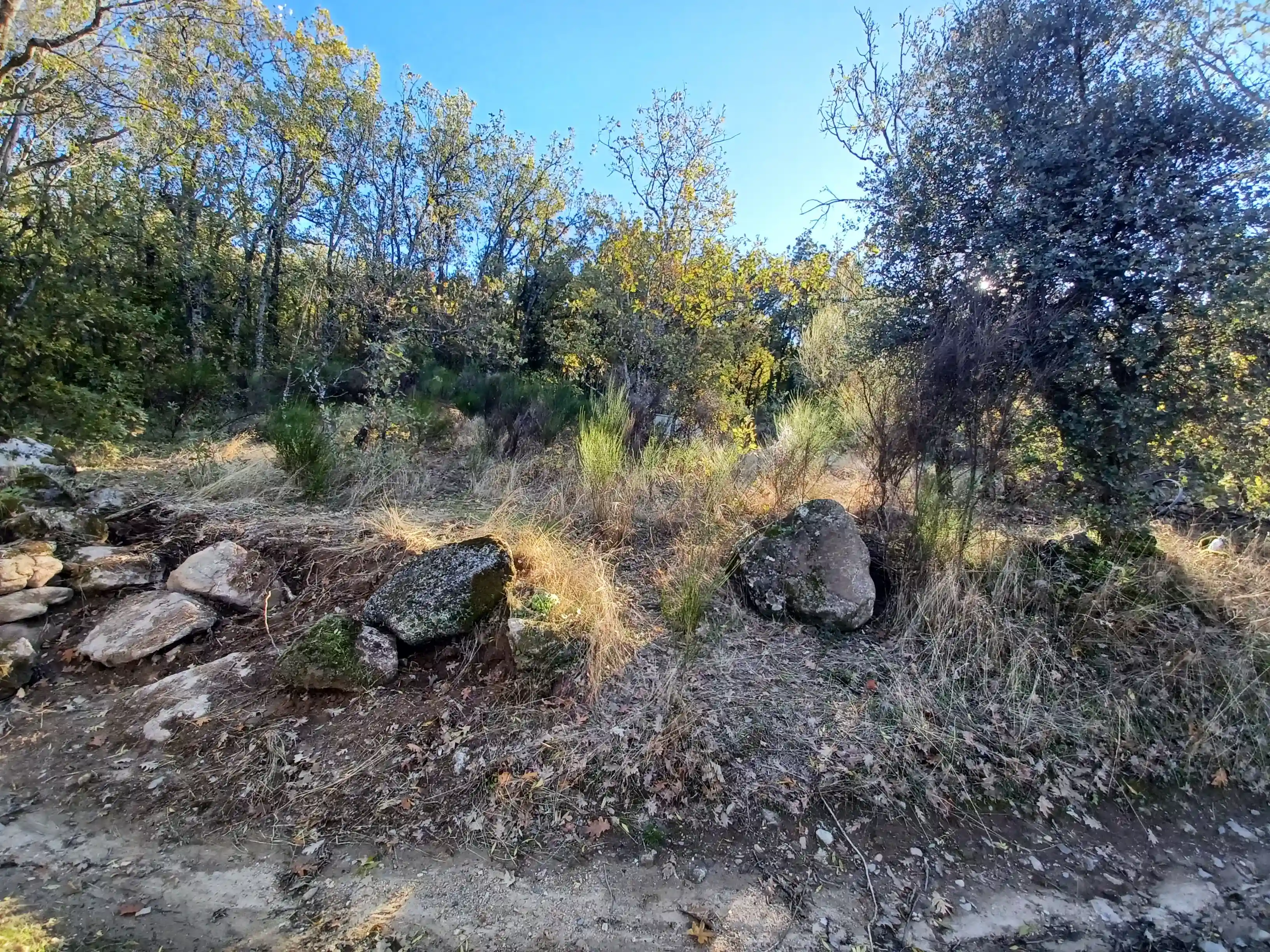 Apertura de Entrada 1