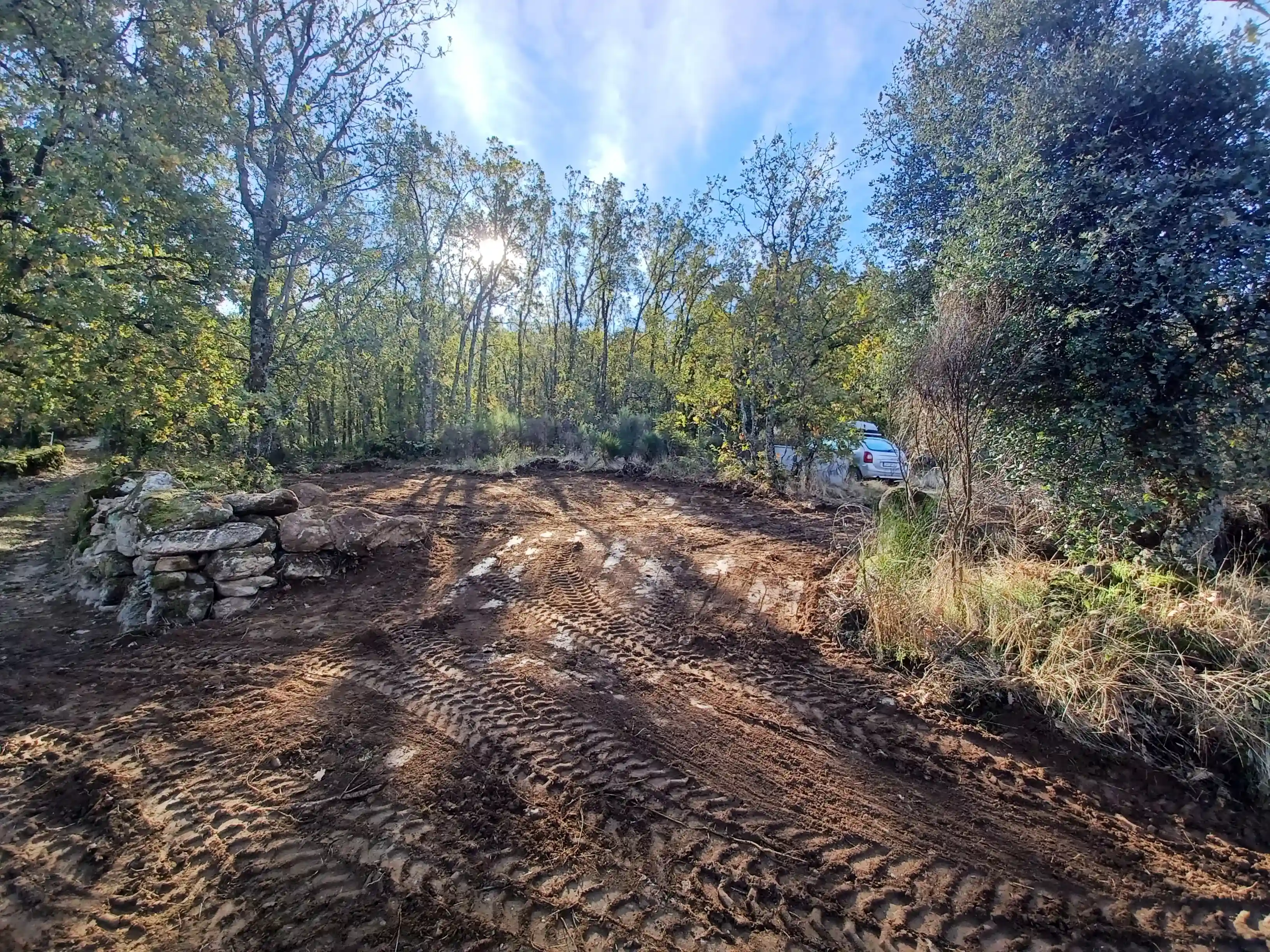 Apertura de Entrada 2