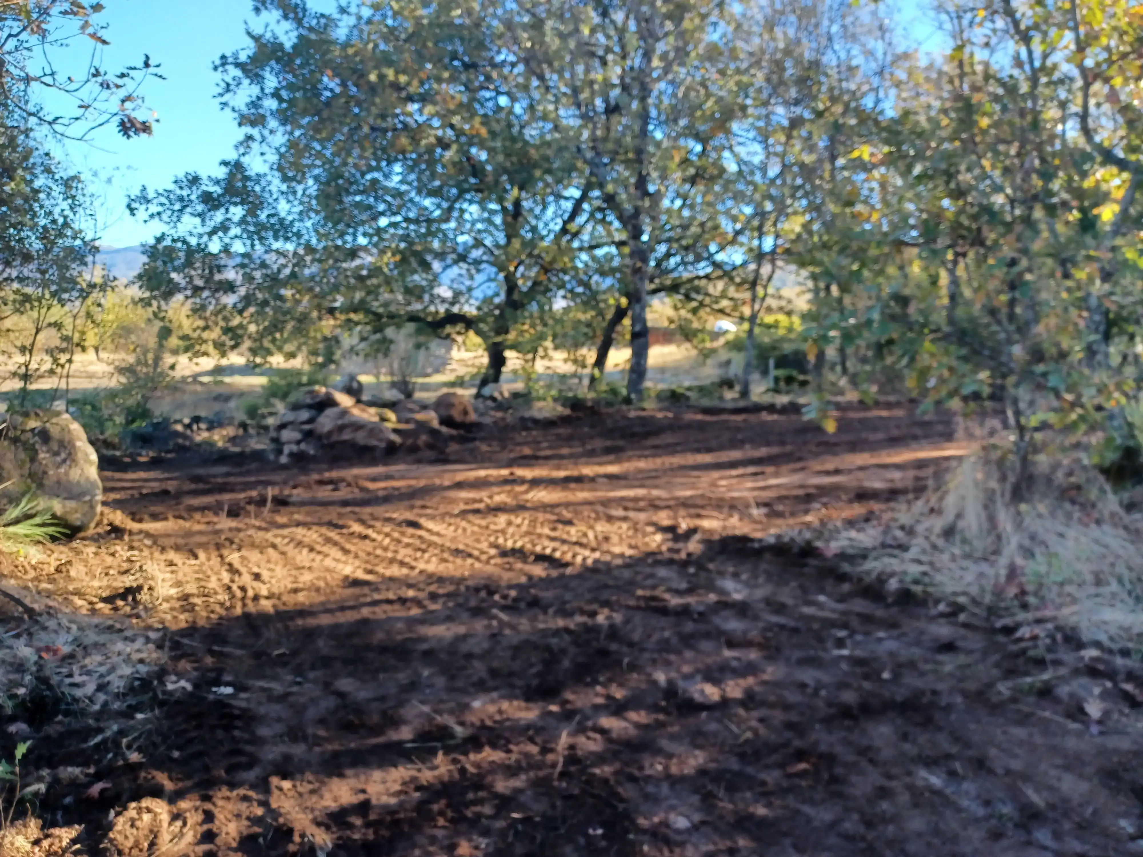 Apertura de Entrada 3