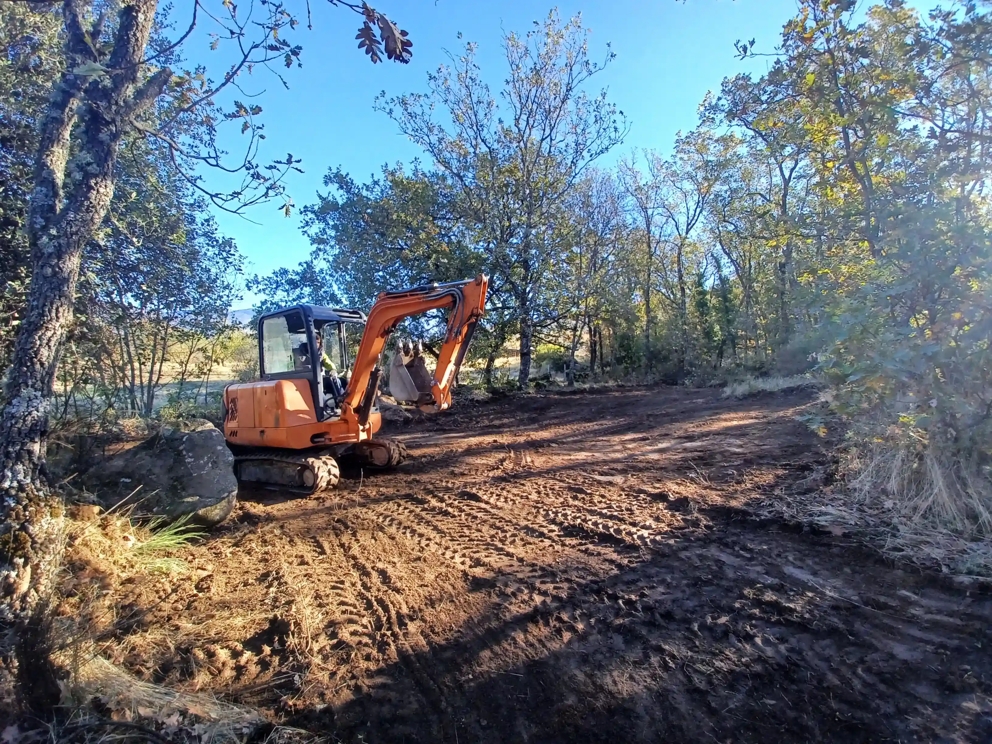 Apertura de Entrada 4