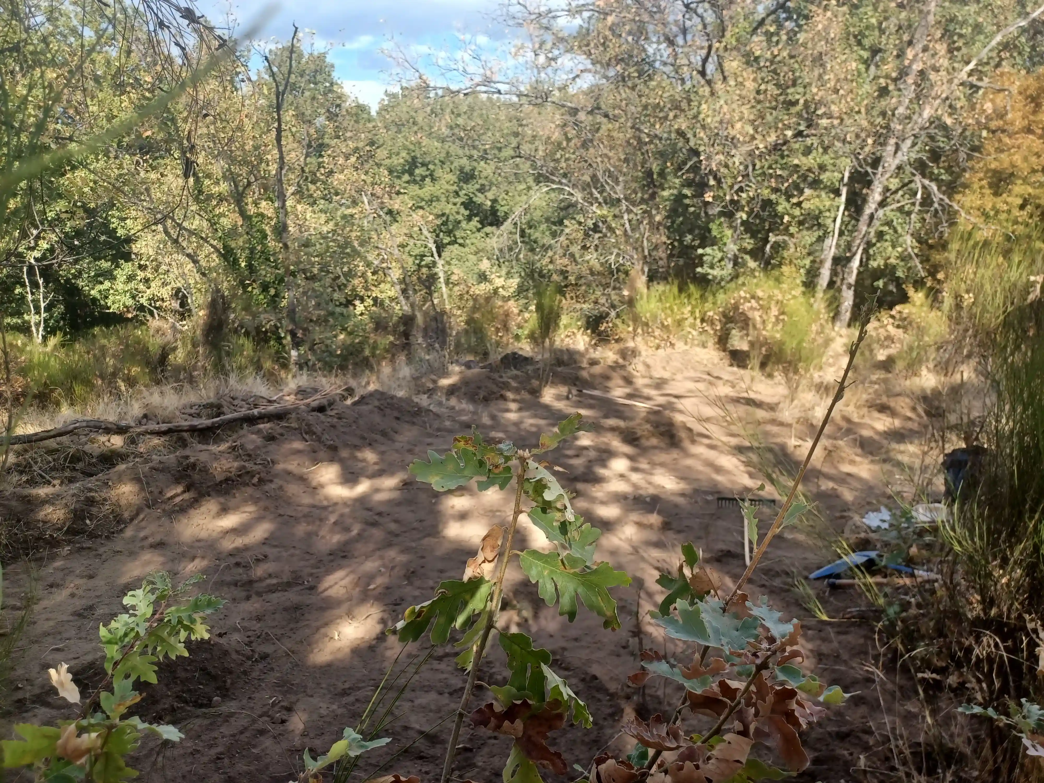 HugelKultur Progreso 1