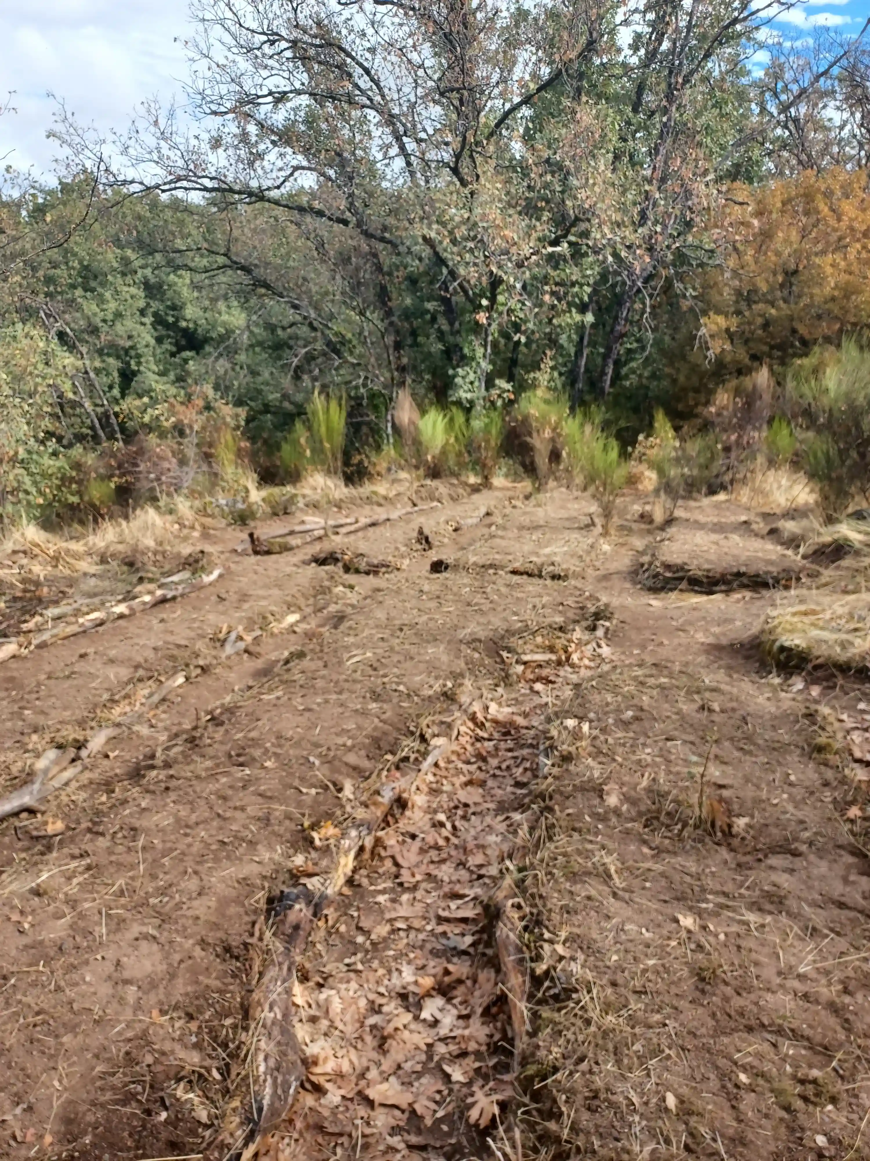 HugelKultur Progreso 12