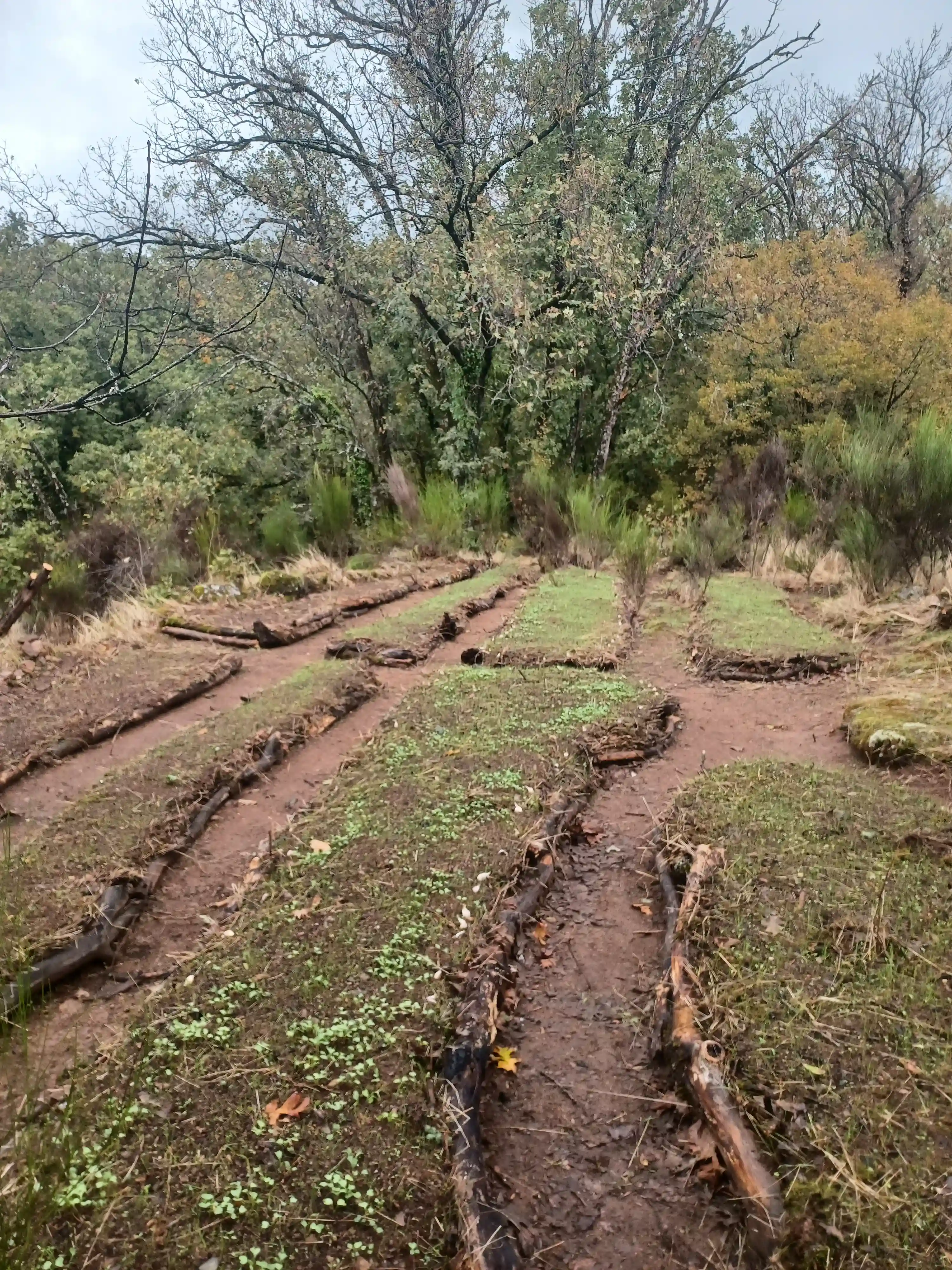 HugelKultur Progreso 13