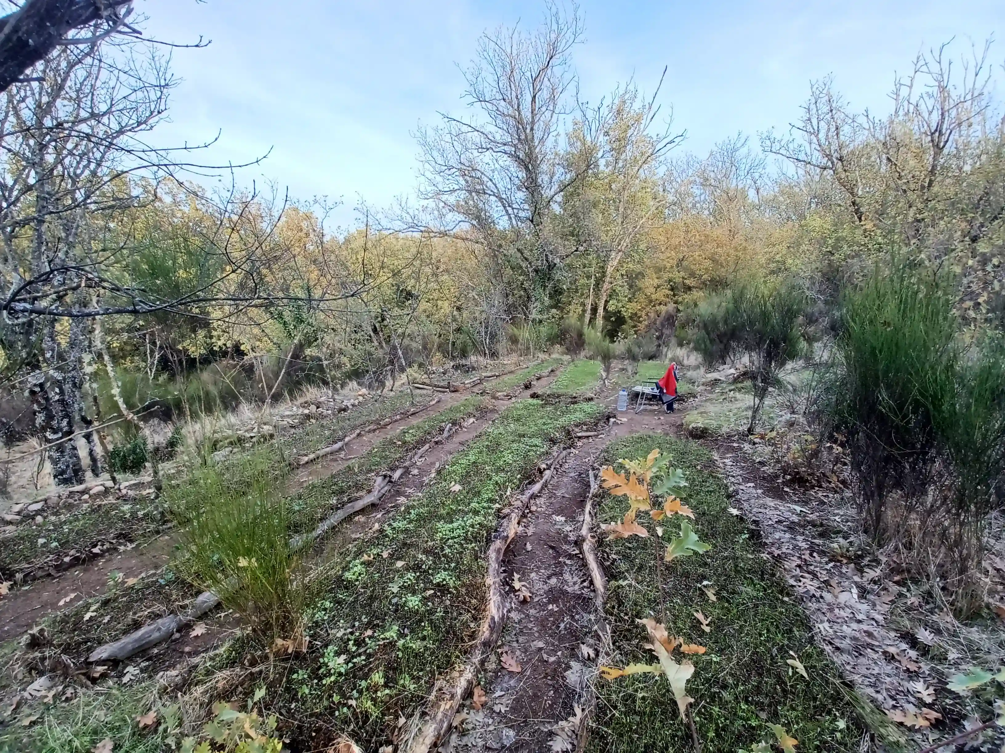 HugelKultur Progreso 14