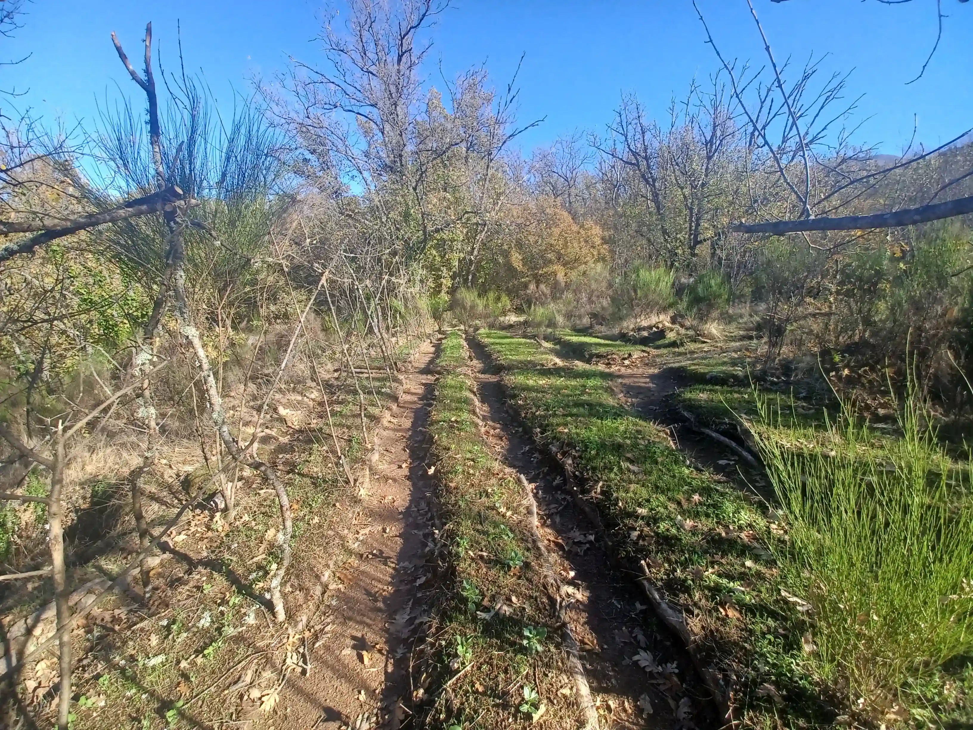 HugelKultur Progreso 16